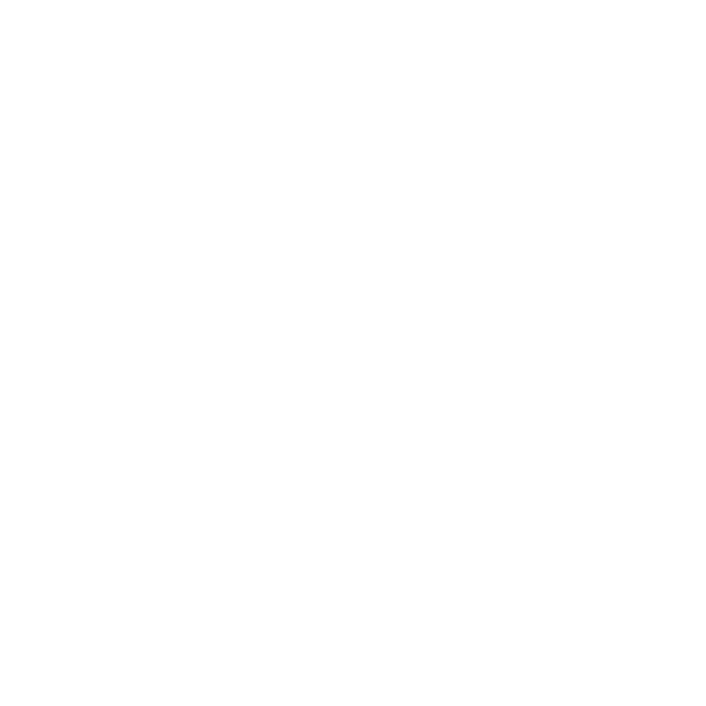 p8.rip logo